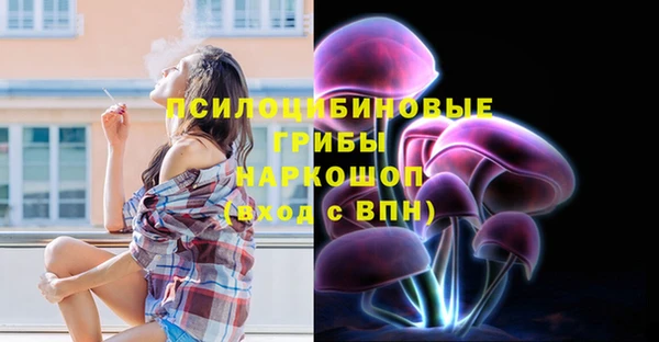прущие грибы Алексин