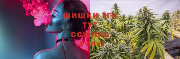 дмт Алзамай