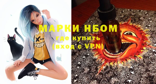 дмт Алзамай
