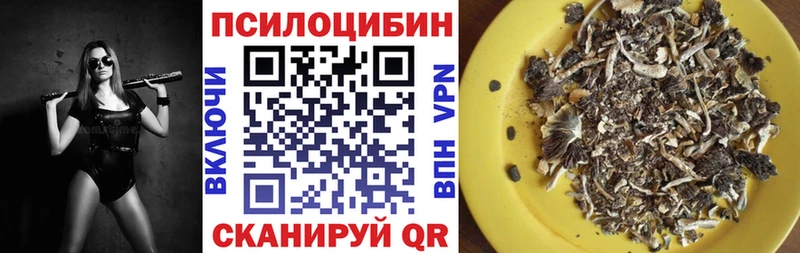ссылка на мегу маркетплейс Салехард Псилоцибиновые грибы Cubensis